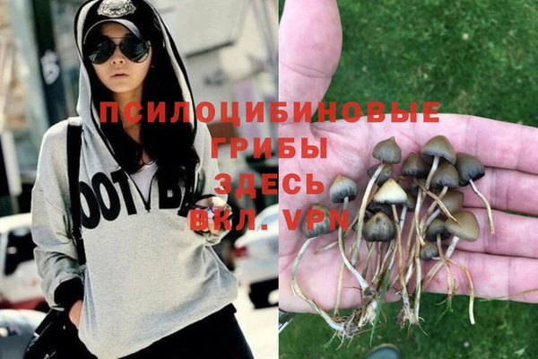 Альфа ПВП Алексеевка