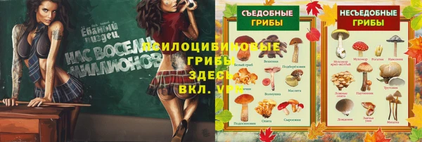 прущая мука Пролетарск